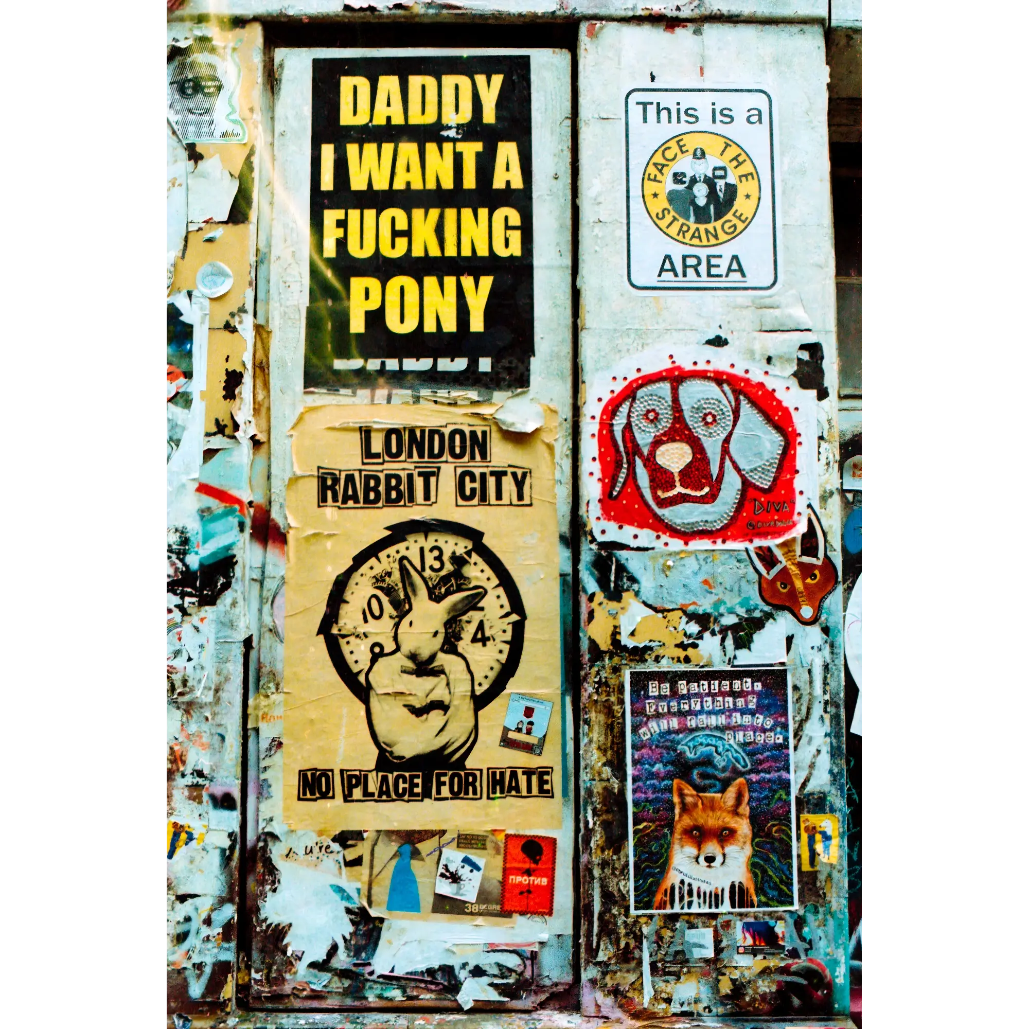 Daddy i Want a Fucking Pony / S